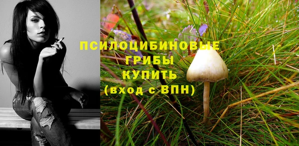 спайс Снежногорск