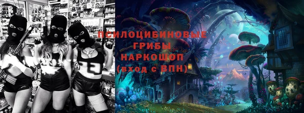 a pvp Слюдянка