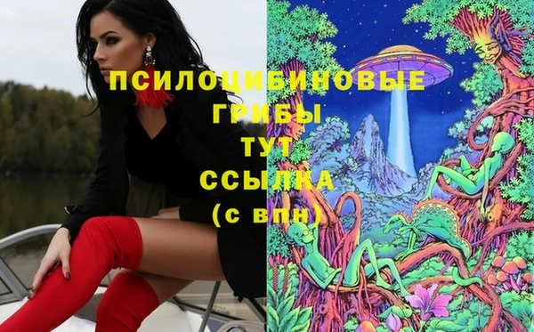a pvp Слюдянка