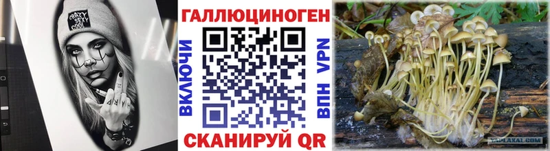 кракен вход  Ливны  Галлюциногенные грибы Psilocybine cubensis  продажа наркотиков 